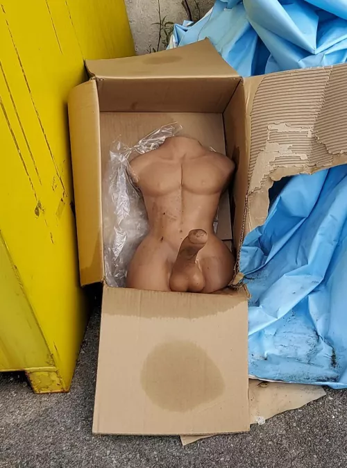 Free to a Good Home!