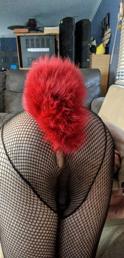 Free Use Fox Boy, line up I can go for hours.