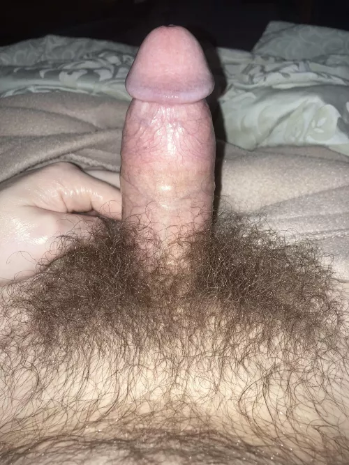 Hairy n horny