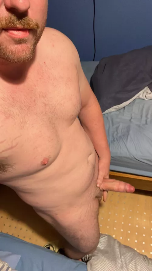 How’s my ginger beard?