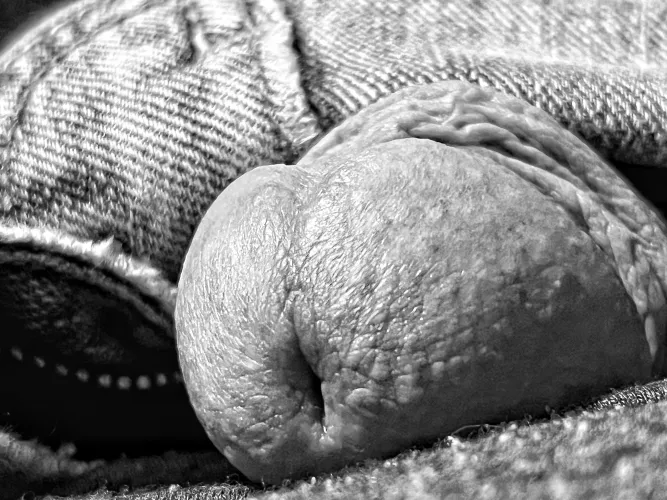 I like the textures that came from this closeup