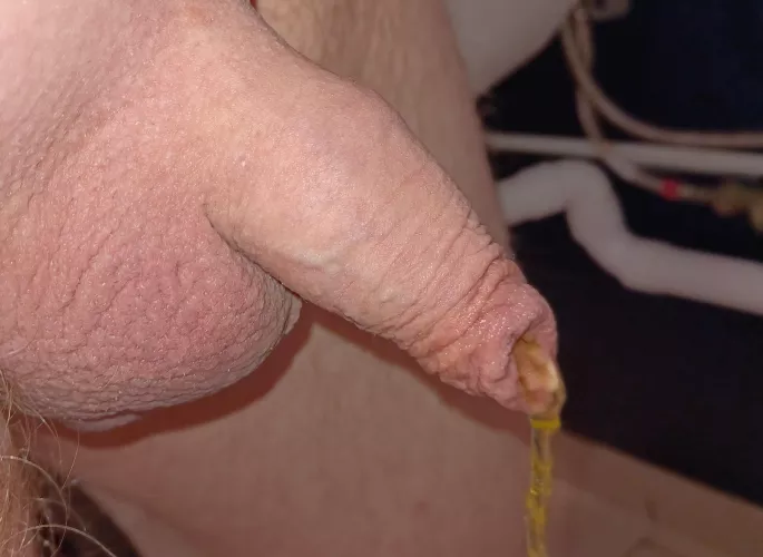 I’m 100% “straight” and totally don’t like cock at all haha…. If you also love- I mean hate cock then add me and dm~