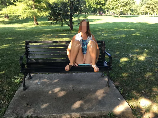 Just a nice day on a park bench