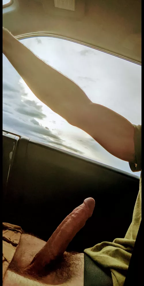 Long drive today...anyone want to give me a hand?