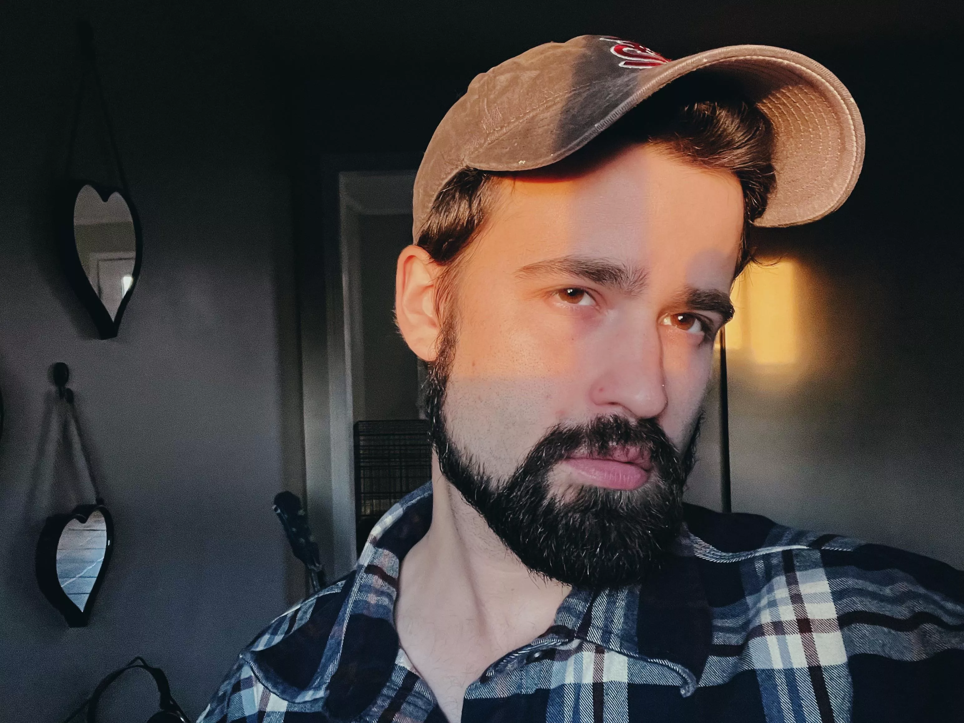 Love the evening golden hour peaking thru my window