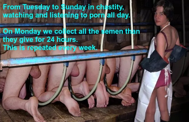 Men farm humillation