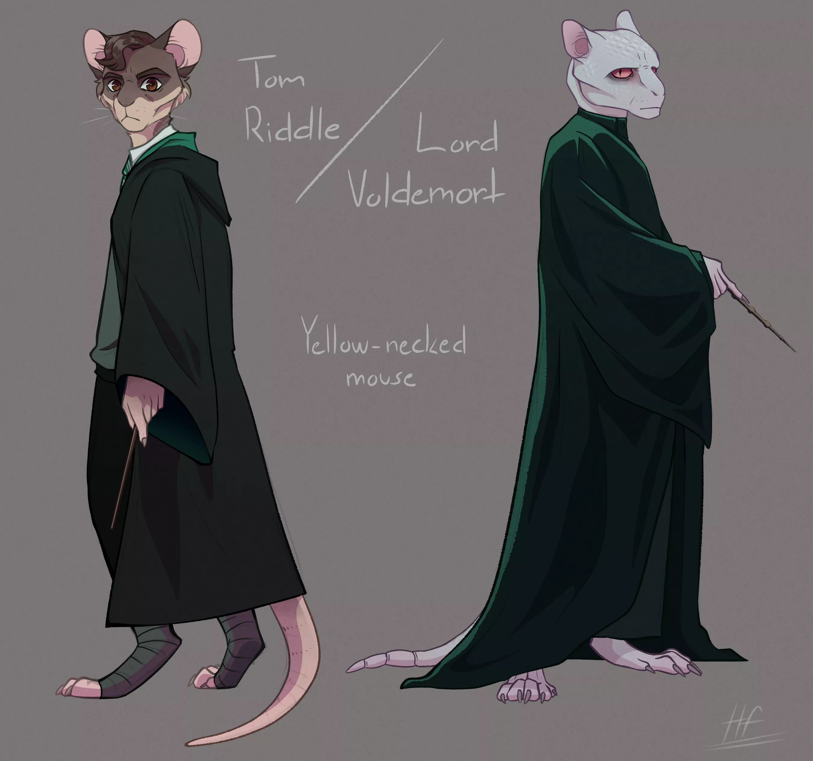 More Harry Potter :p A small ref sheet like thing for Voldy [art by me, @heretic.fox on Instagram]