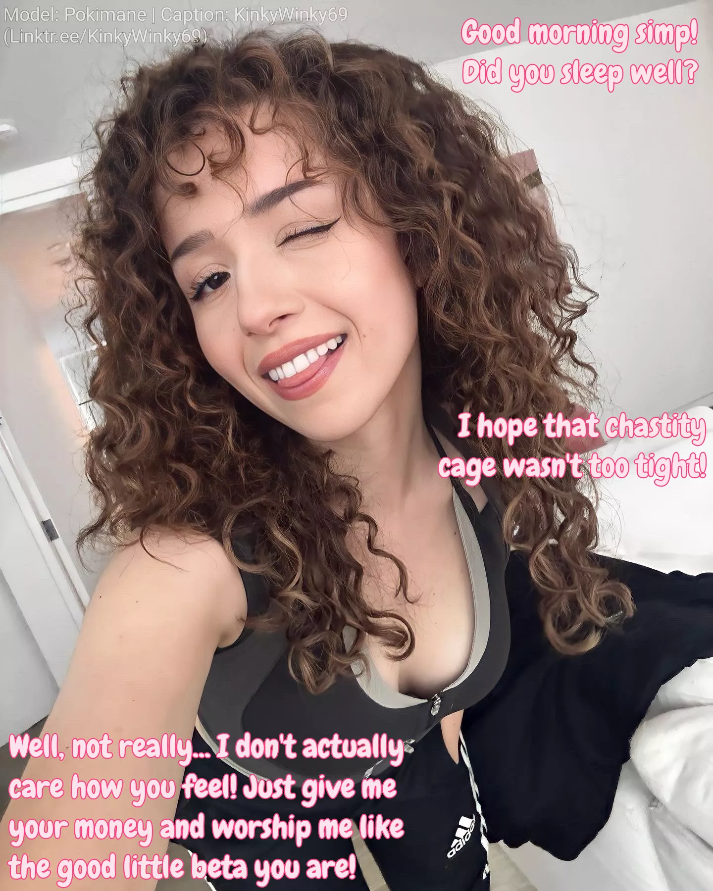 Pokimane's Simp