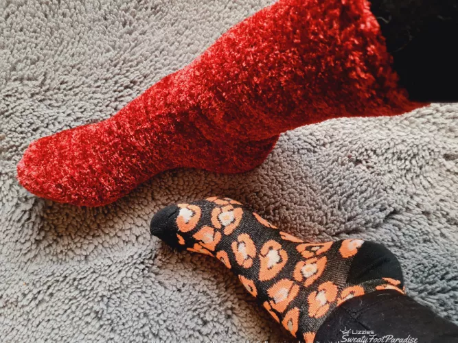 Red fluffies and animal prints 😏🔥 (Selling)