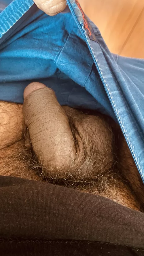 Say hello to my soft brown cock