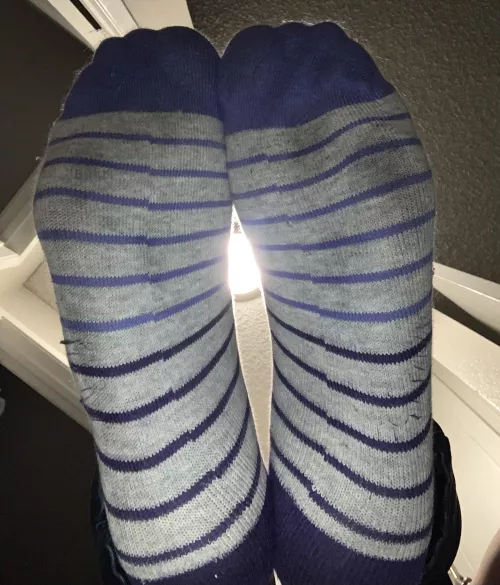 Smelly wet sweaty stripe socks
