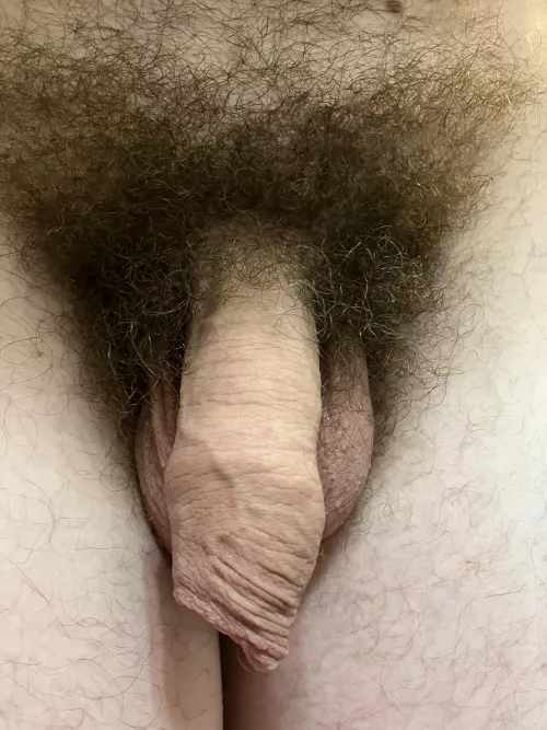 Soft and natural American dick
