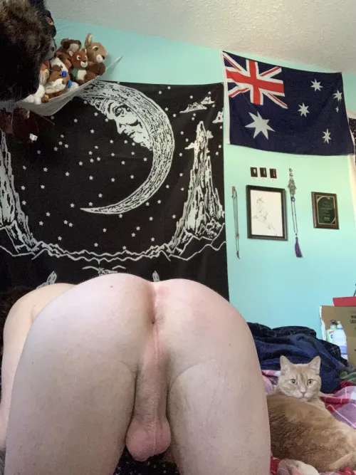 There’s 3 pussies in this picture :3