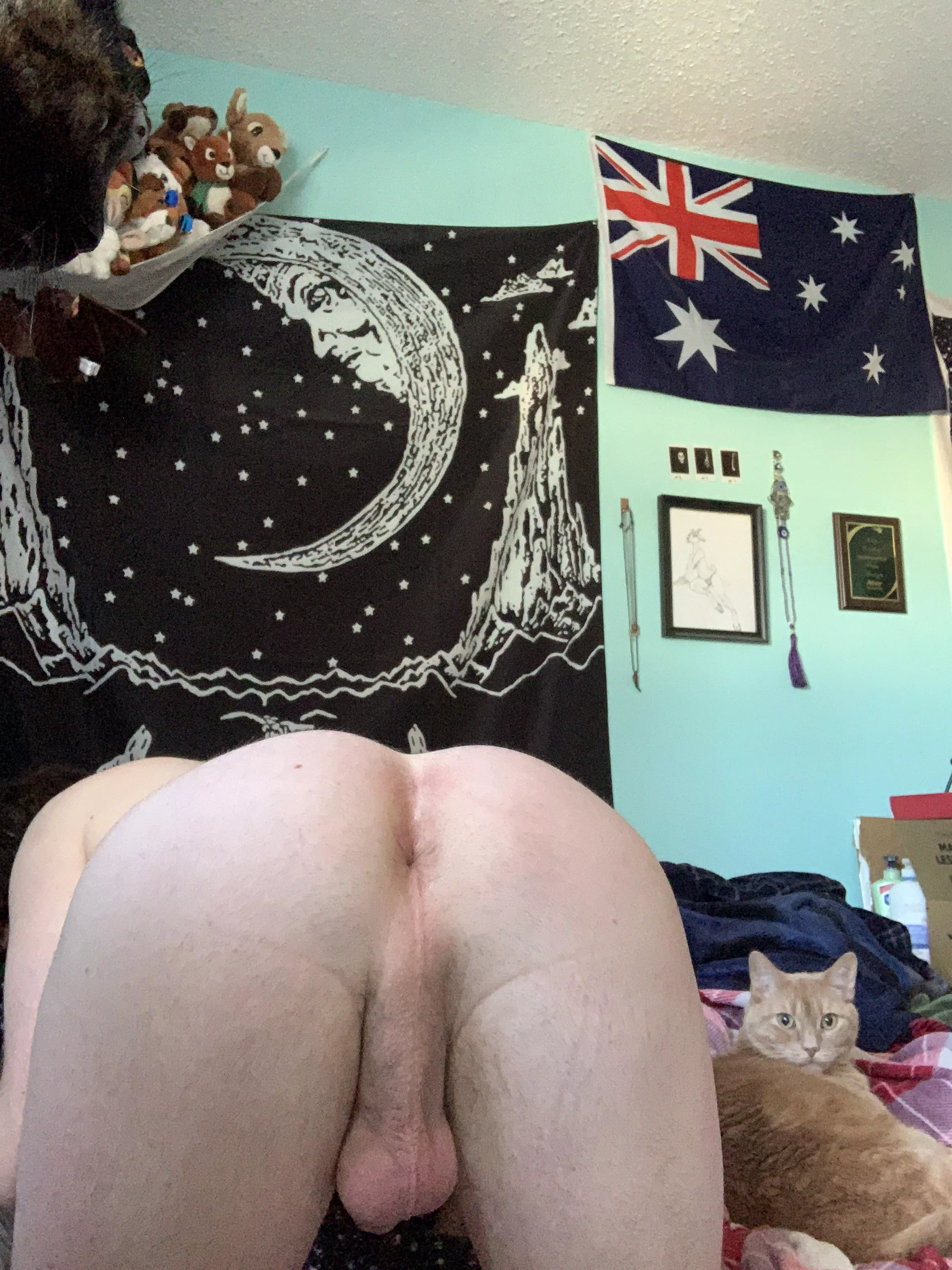 There’s 3 pussies in this picture :3