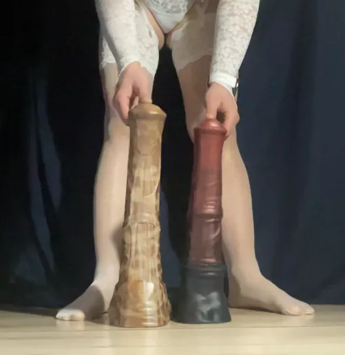 They grow so big these days (Vector and Chance XL)