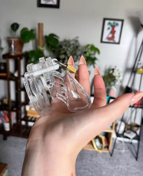 Thinking about how only I can determine when you can get erection, makes me wet, that's why it's permanent