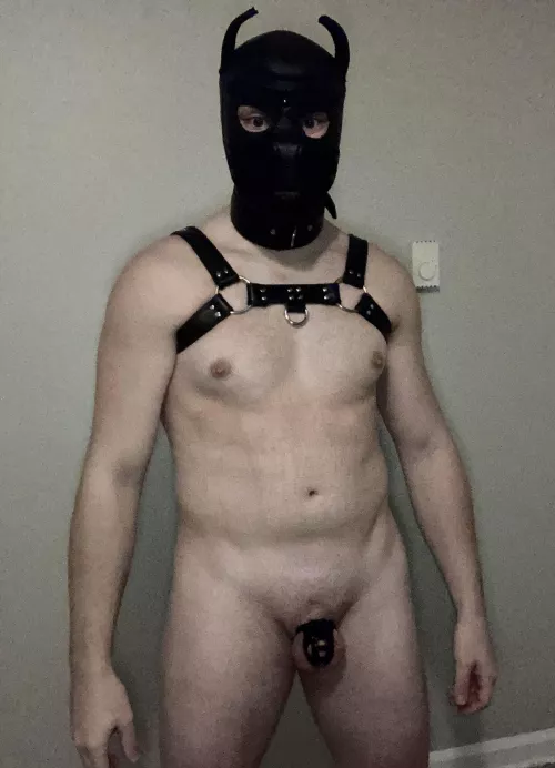 This pup has been locked for sometime now and has decided that locked pup are the best pups. 😂