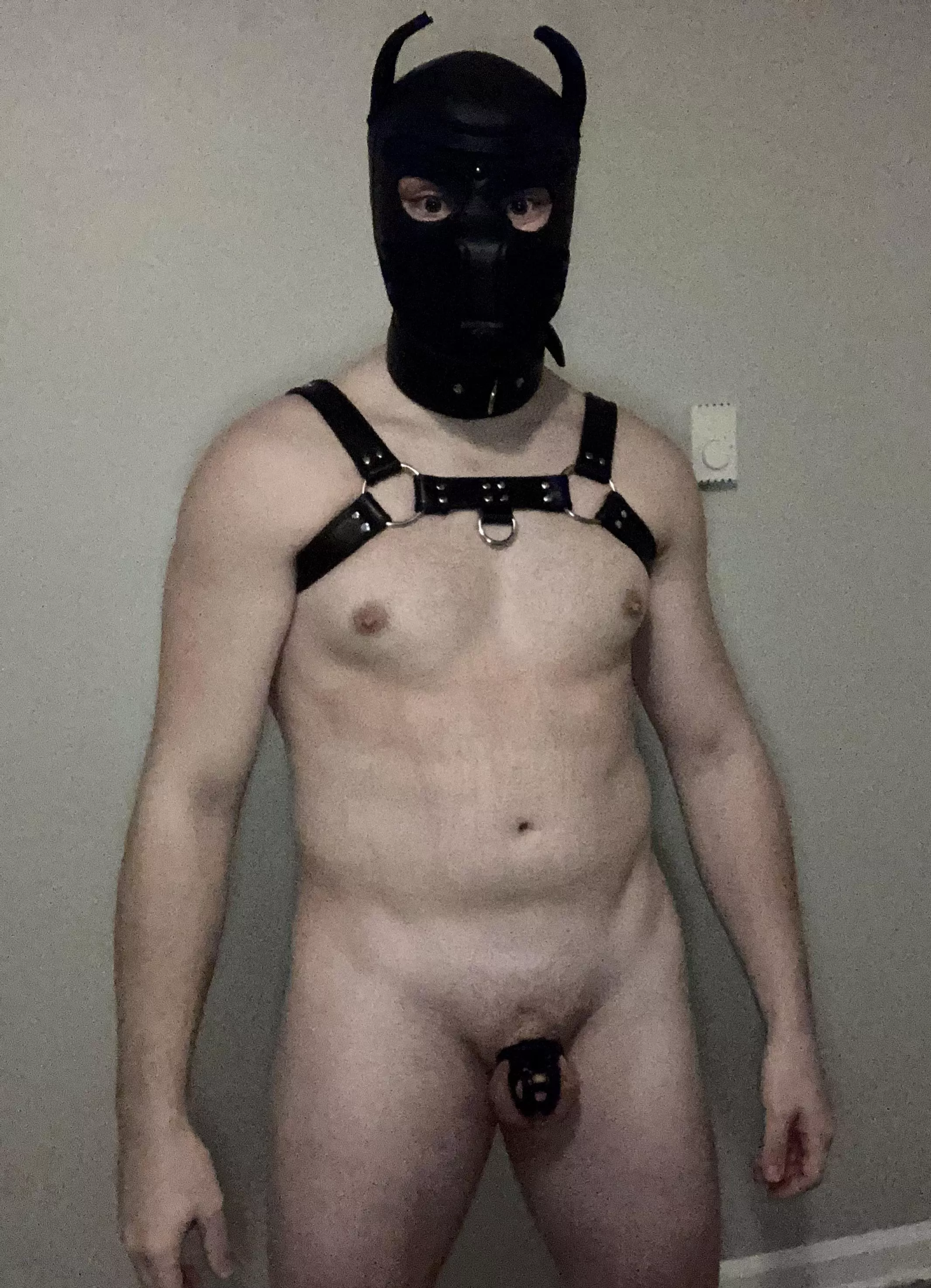 This pup has been locked for sometime now and has decided that locked pup are the best pups. 😂