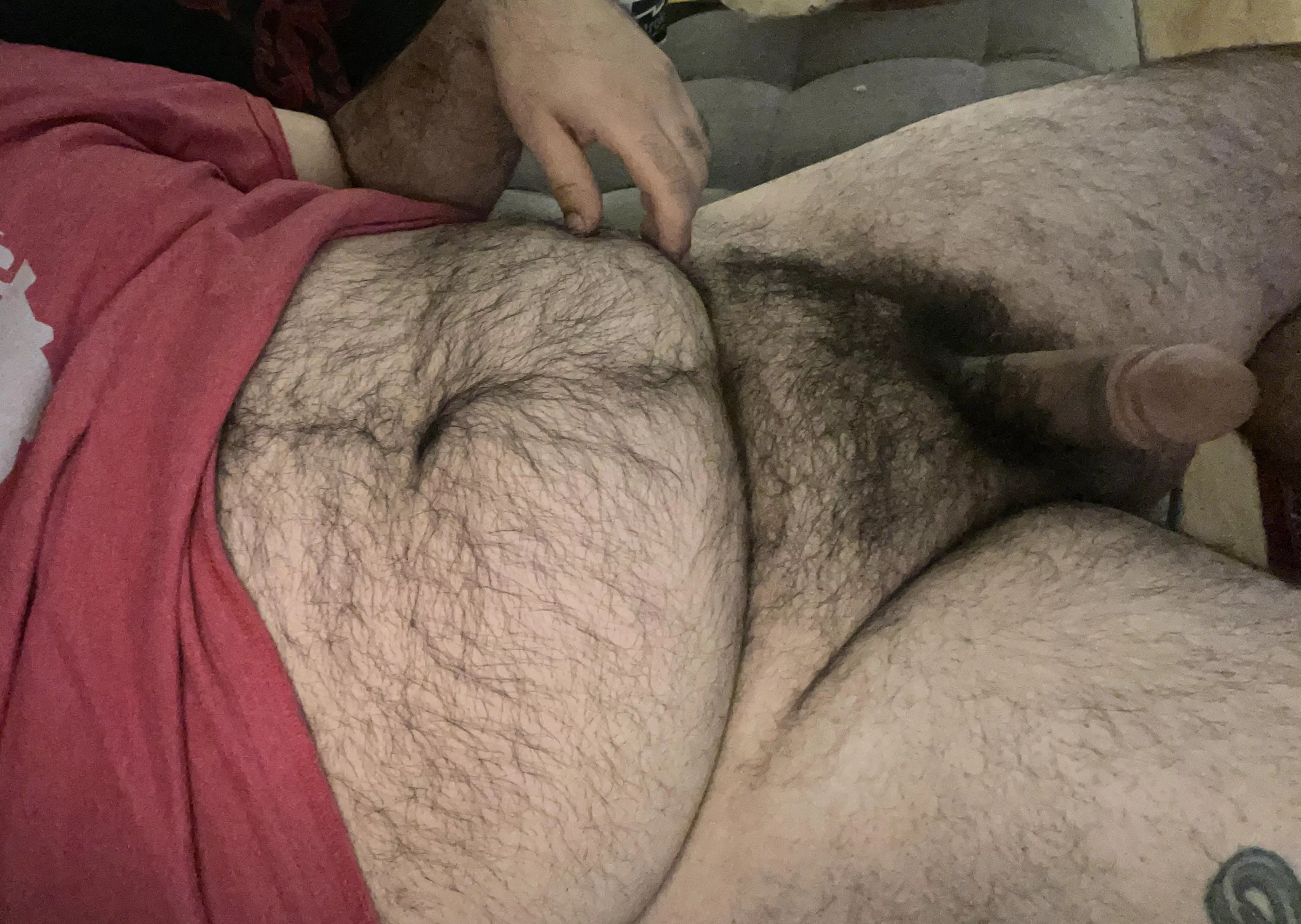 Time to trim my bush?