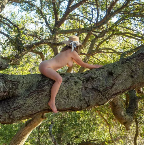 🌳Tree Pose Tuesday🌳 (more in comments)