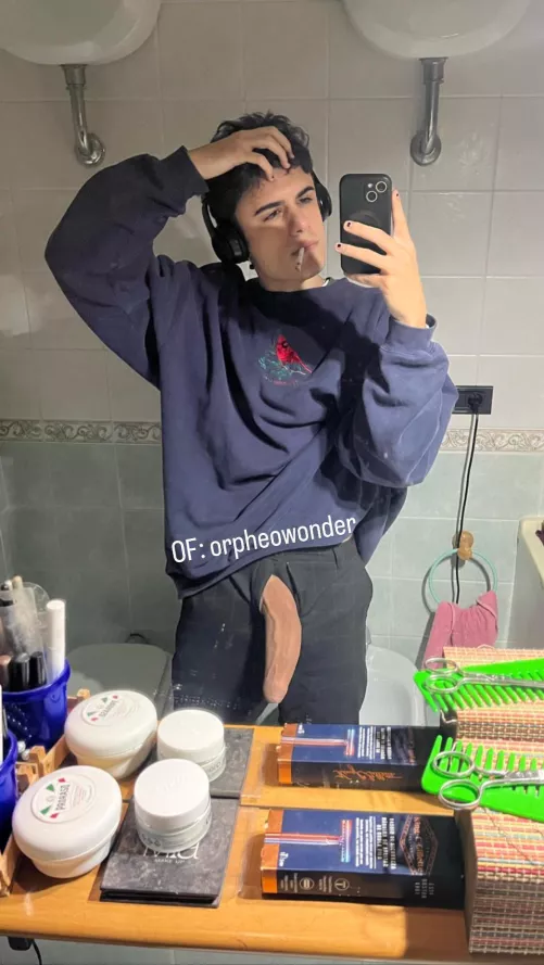 veins through the fly