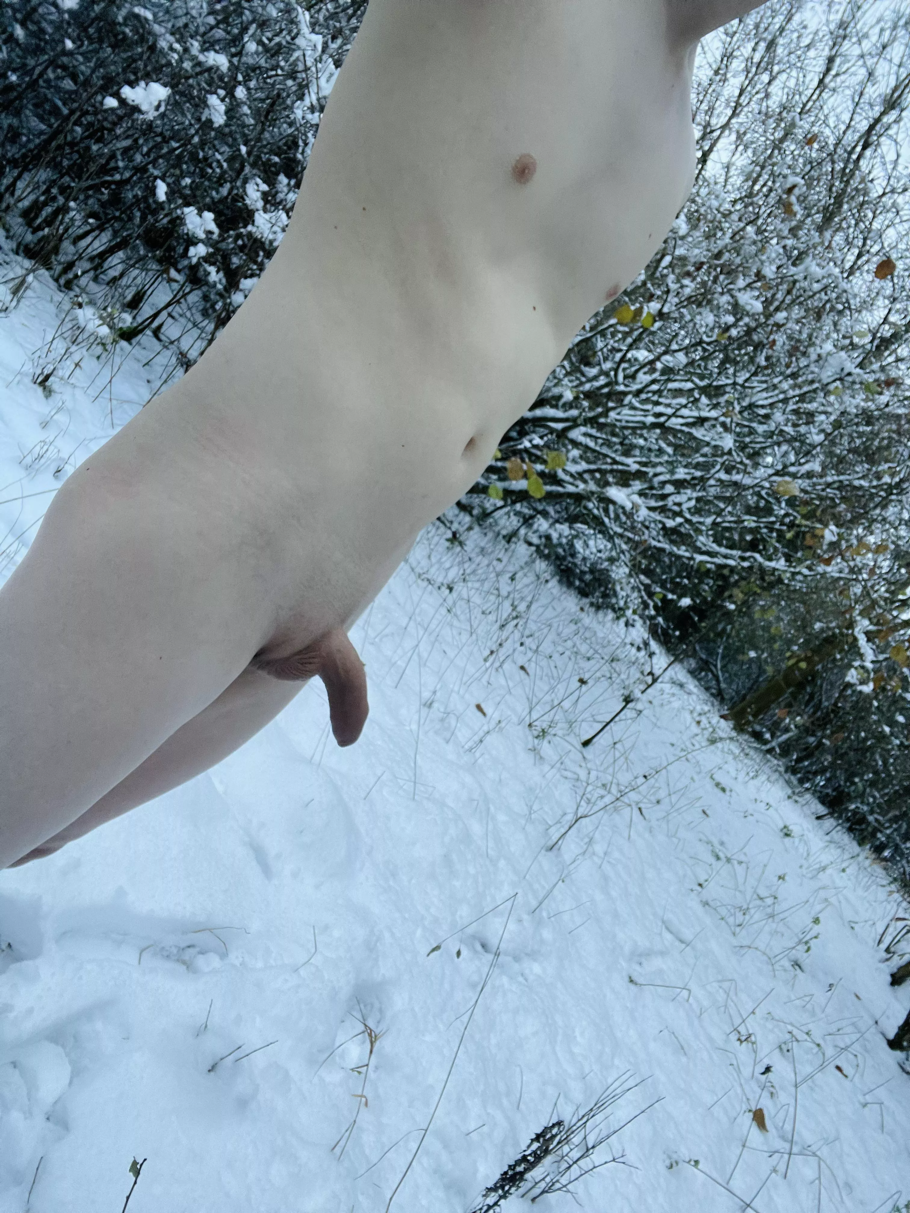 Wanna go for a walk?