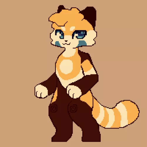 what should i name him