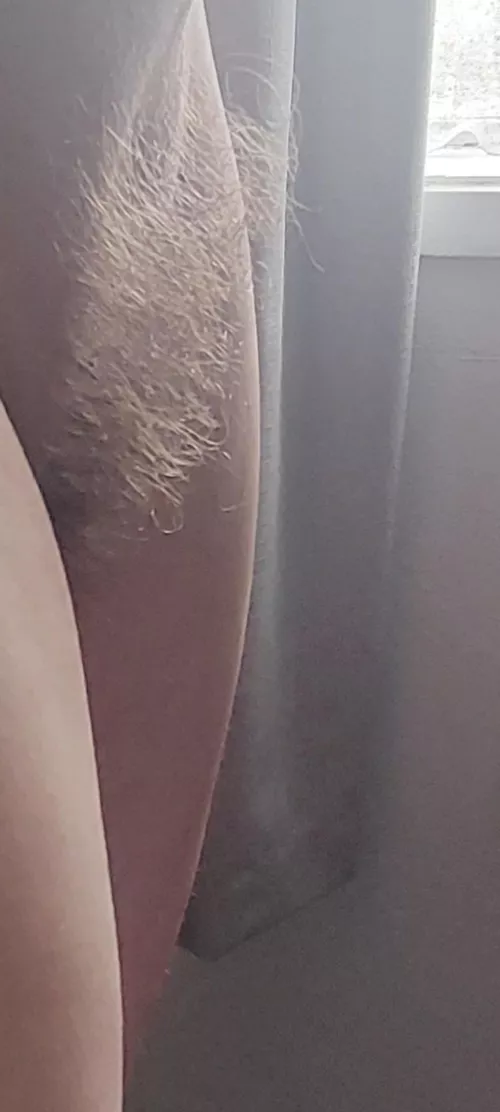 Why Would I Ever Want to Shave Again When It Looks So Gorgeous ??