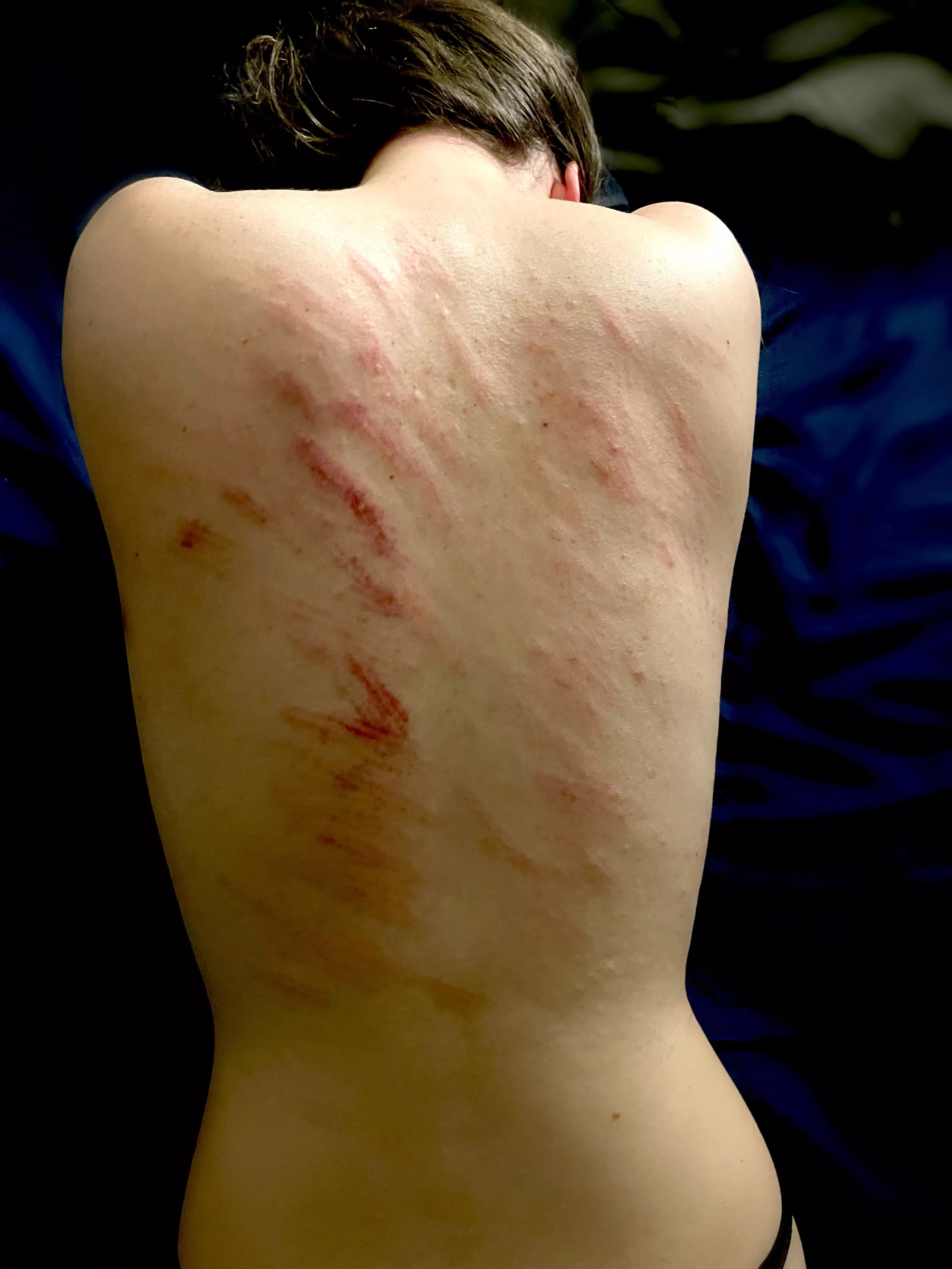 Will I ever learn to say Yes Sir [F]