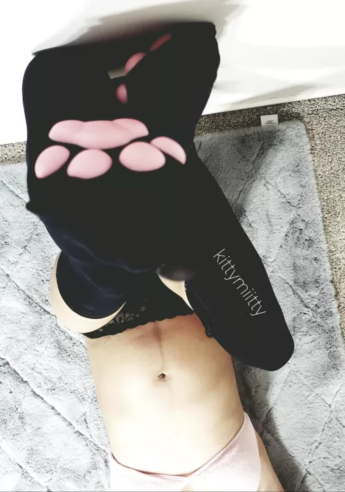 Will you pet this pregnant kitty