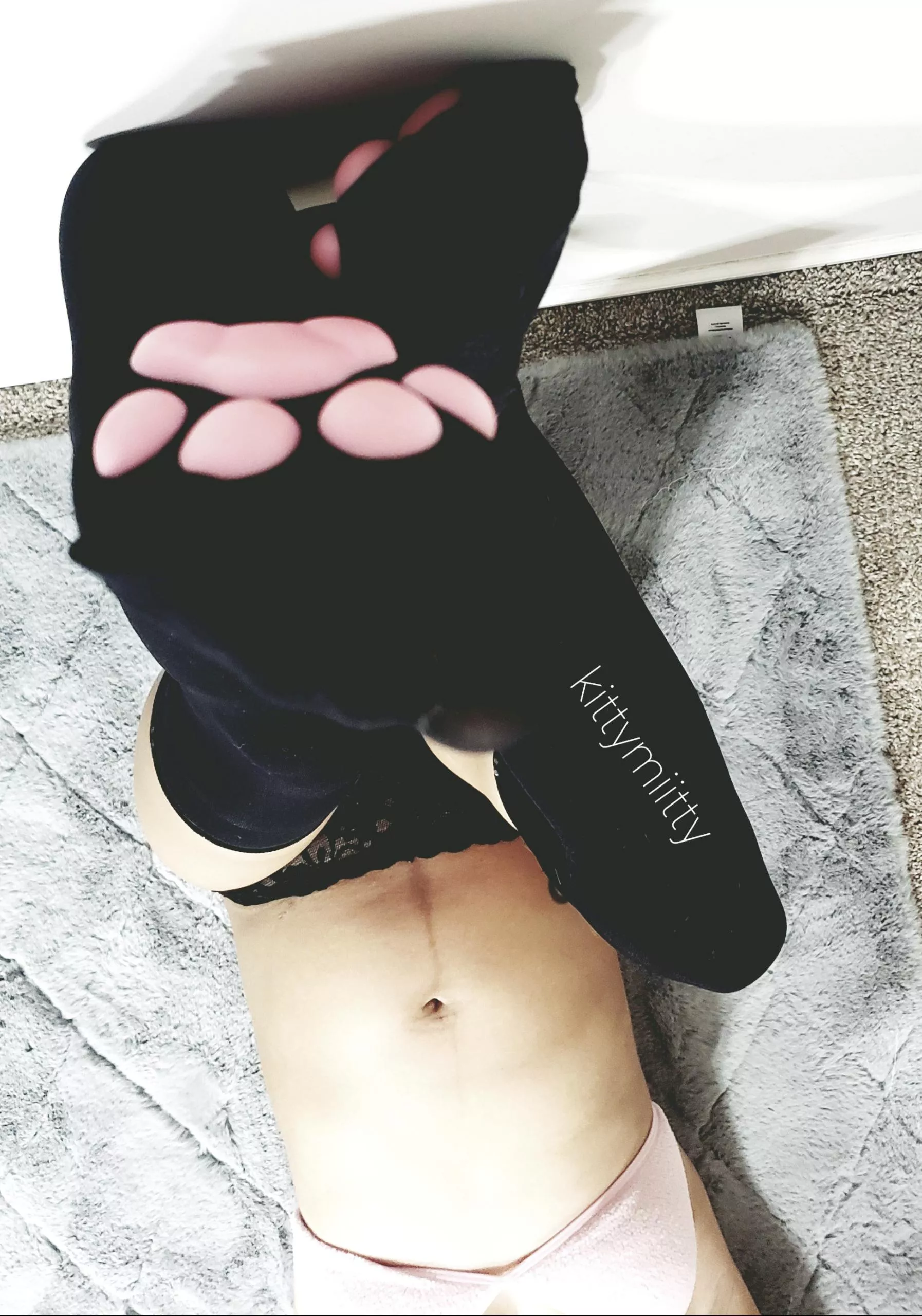 Will you pet this pregnant kitty