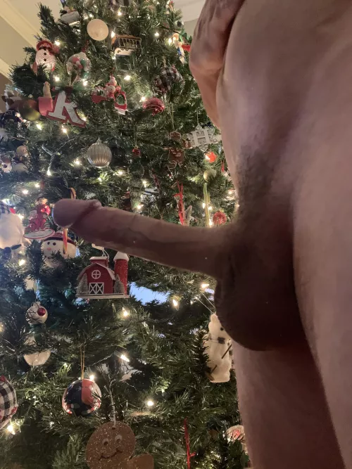 Would you suck it in front of the Christmas tree? 🎄🍆(35)