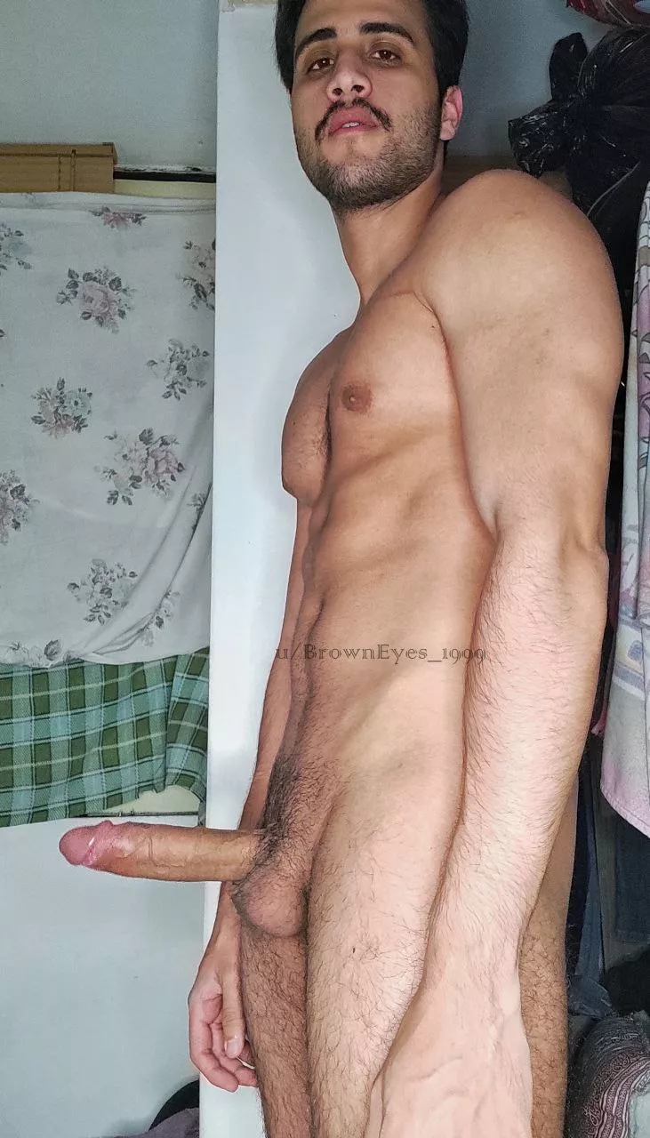 Would you suck my whole cock?