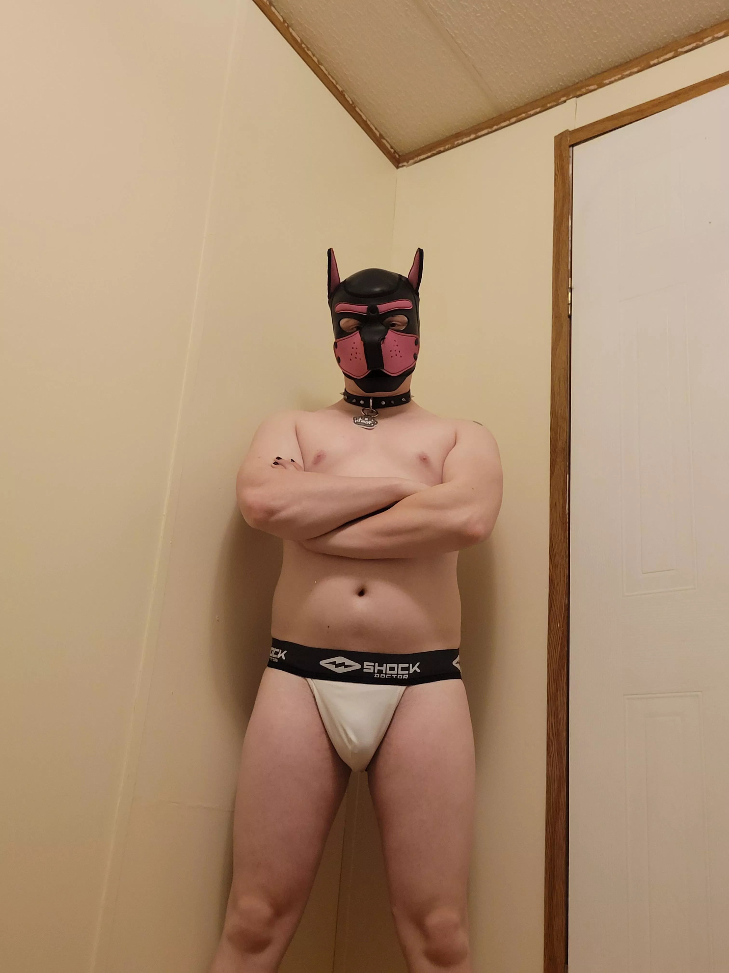 you gonna listen or do I need to get the leash?