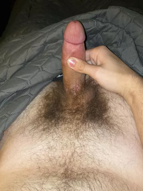 [19] haven’t shaved in a few years, hows it coming along?