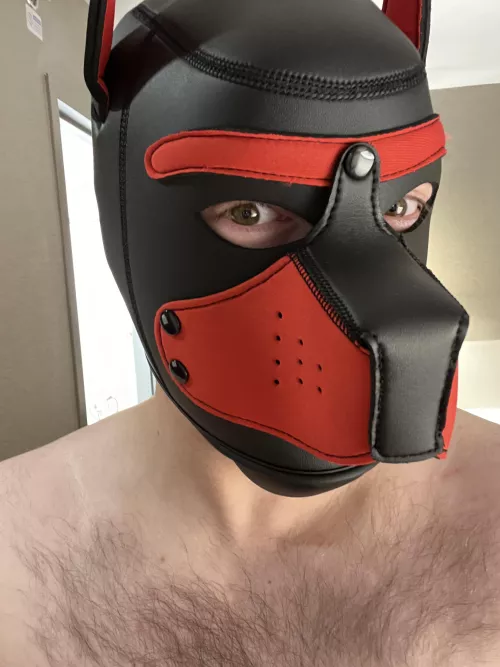 37 — This is my first time wearing it… what do we think?