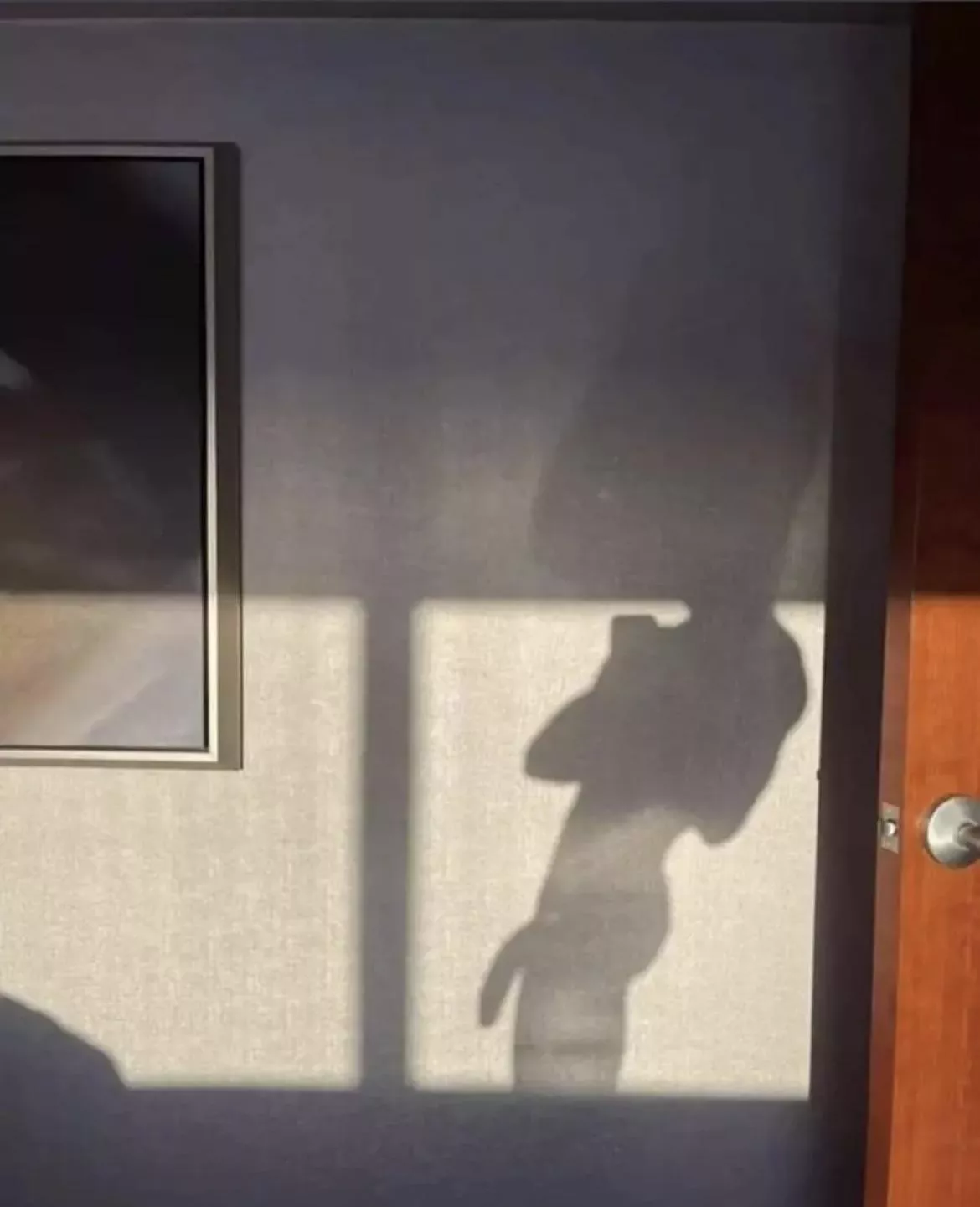 8” hung Twink 4 muscled dm me