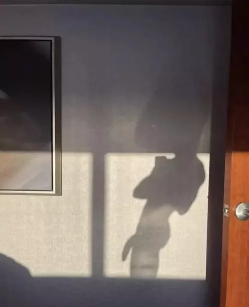 8” Uc 4 muscled dm me 😈