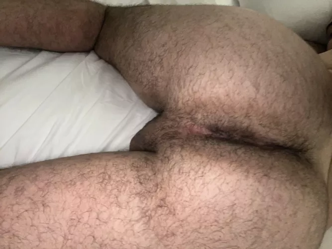 a real man ass is hairy ;) pm’s open