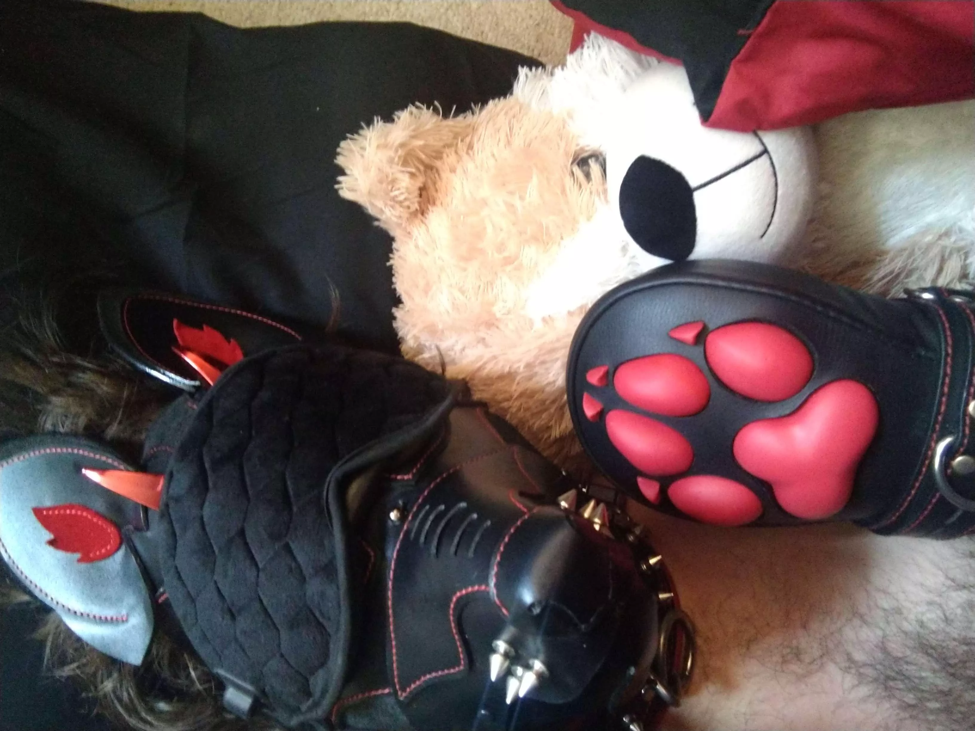 All snuggled up and comfy, I love to sleep helpless in my paws.