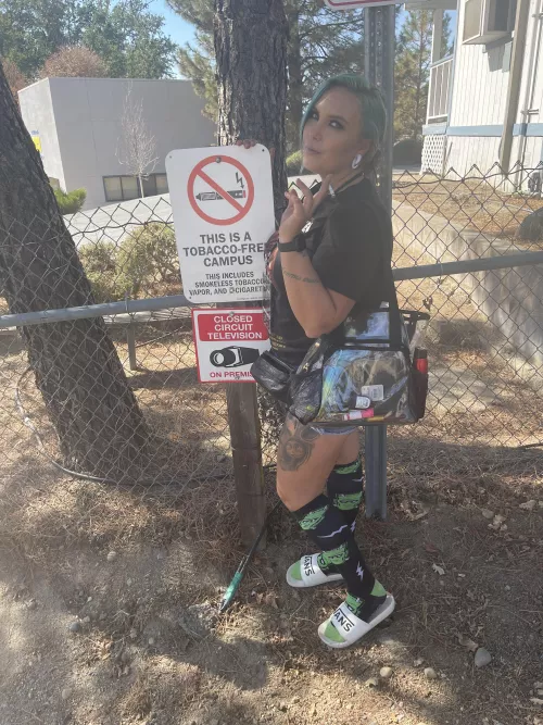 BREAKIN the law BREAKIN the law