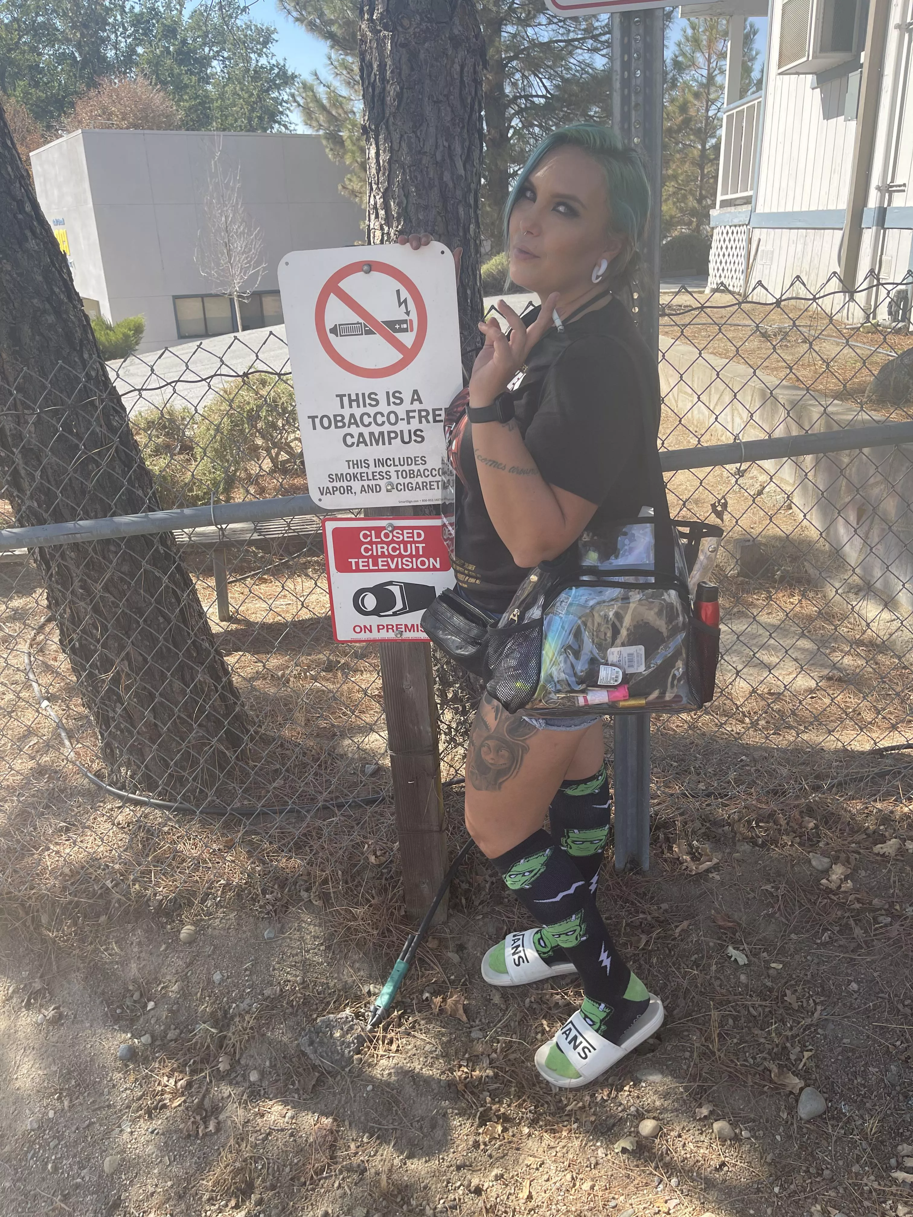 BREAKIN the law BREAKIN the law