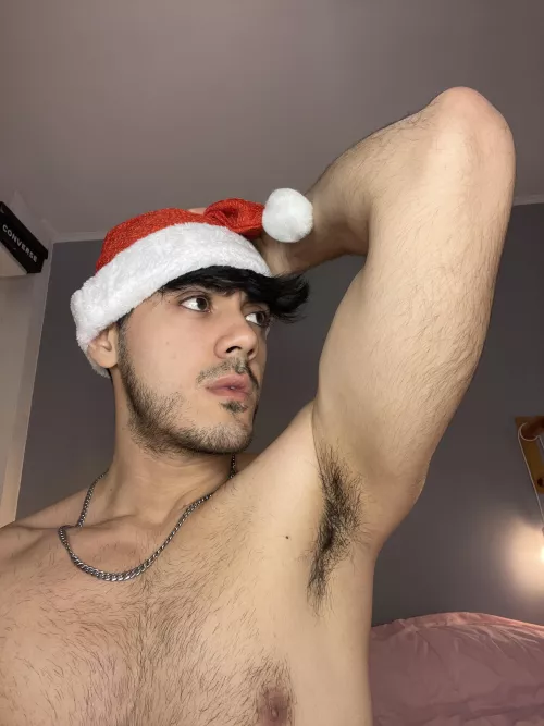 Do you like santa Armpits?