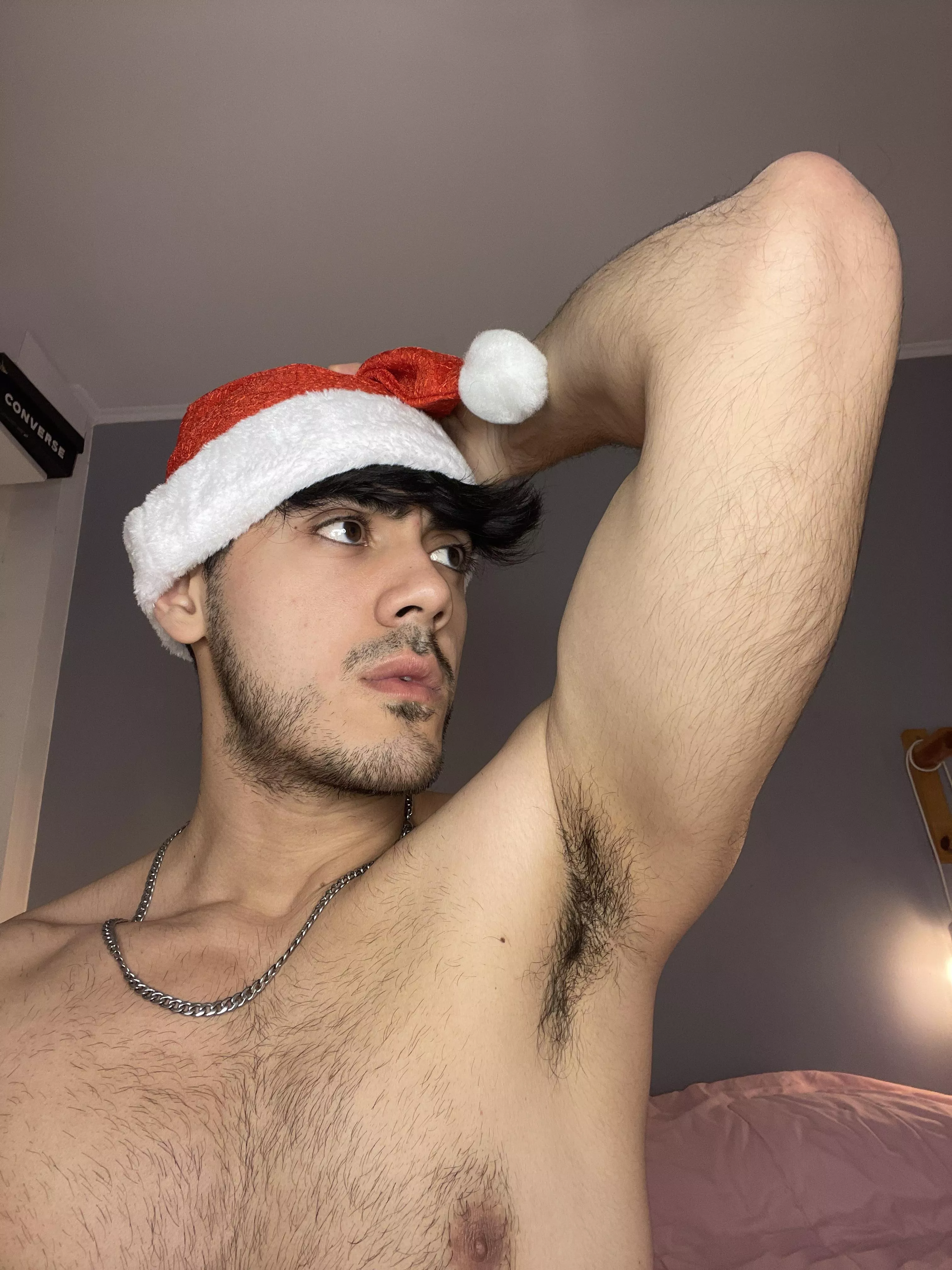 Do you like santa Armpits?