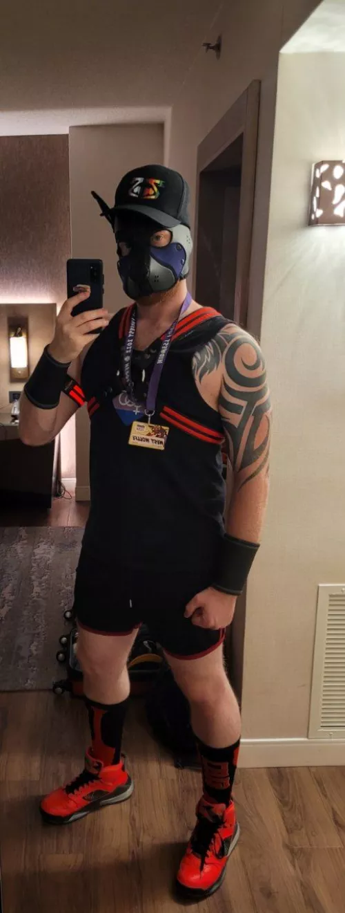 had a great time at MFF two weeks ago. Wore this to their rave and met some fellow dogs! 🐺