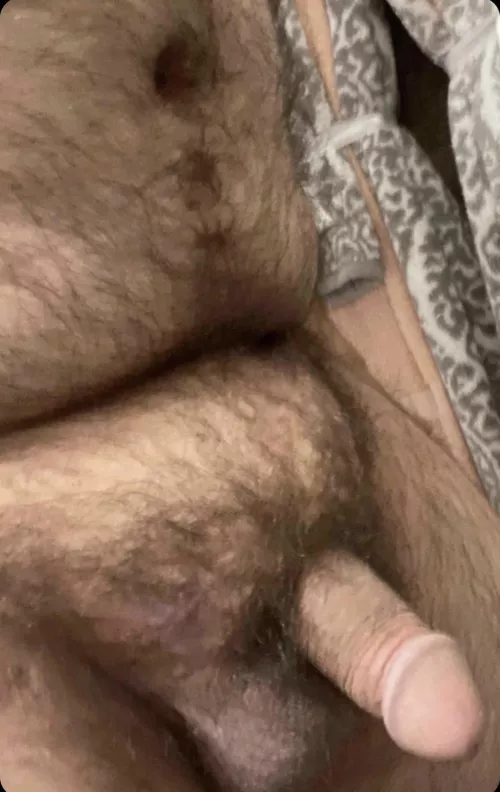 Hairy 28 male bear