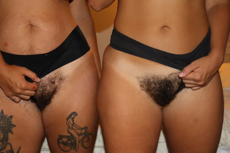 Hairy Bush x2