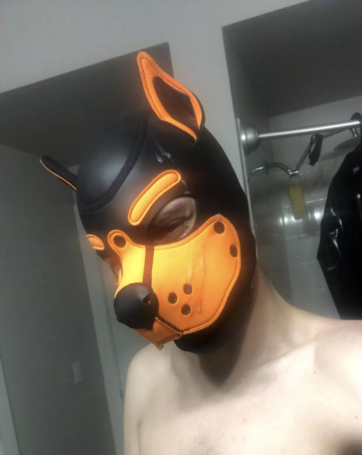 Hi pups! Follow my Twitter @Neuro_pup