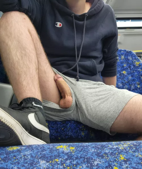 I couldn't help myself but to get semi on the train