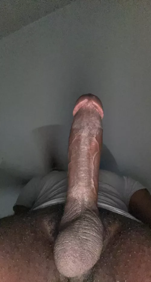 I’m starting to think you lose on purpose 😏